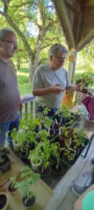 photo 2026 02 18 19 06 42